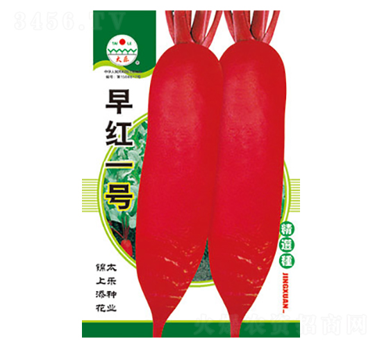 }N-tһ̖(ho)-̫NI(y)