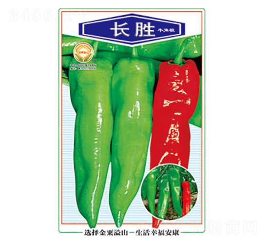辣椒種子-長(zhǎng)勝-太樂(lè)種業(yè)