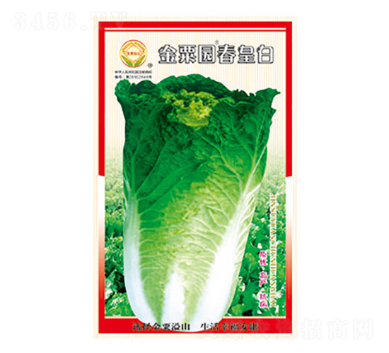 ײ˷N-@ʰ-̫(l)NI(y)