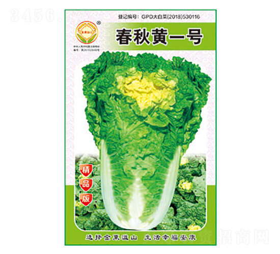 ײ˷N-Sһ̖Ʒ-̫NI(y)