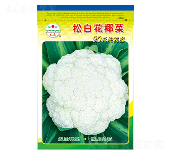 白花椰菜種子-松白花椰菜-太樂(lè)種業(yè)