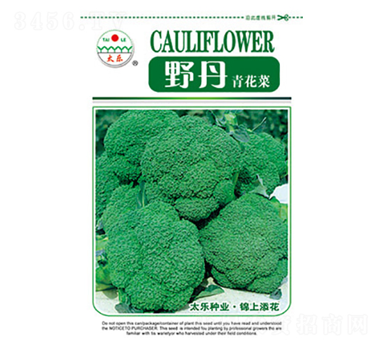 西蘭花種子-野丹-太樂種業(yè)
