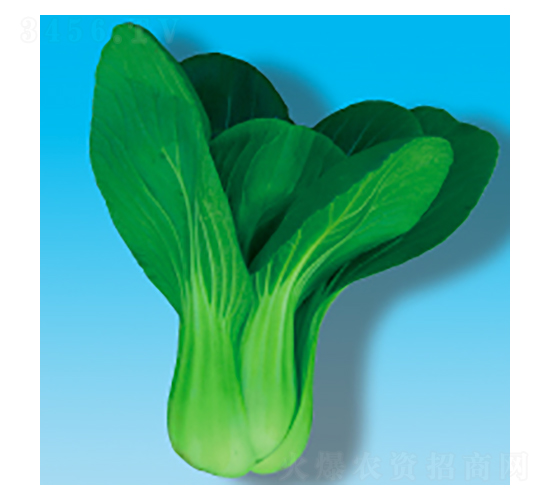 ๣˷N-061-A孷NI(y)