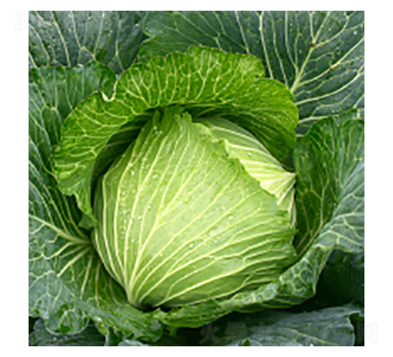 {(ln)N-{(ln)-A孷NI(y)