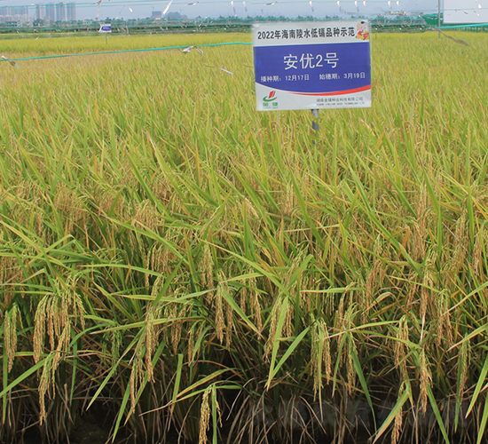 (yu)2̖-ˮN-𽡷NI(y)