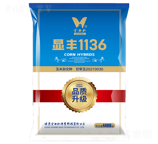 顯豐1136-玉米種子-金西北種業(yè)