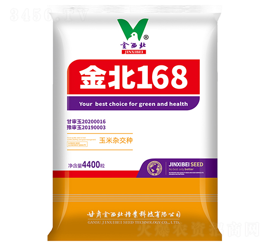金北168-玉米種子-金西北種業(yè)