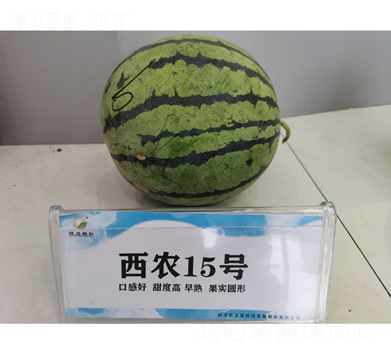 r(nng)15̖(ho)-ϷN-SNI(y)