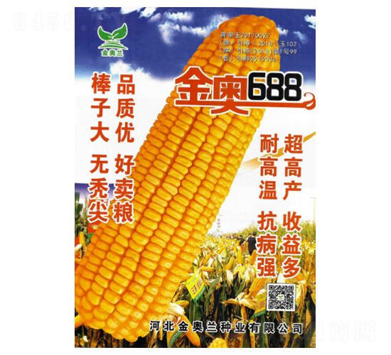 金奧688-玉米種子-秦豐種業(yè)