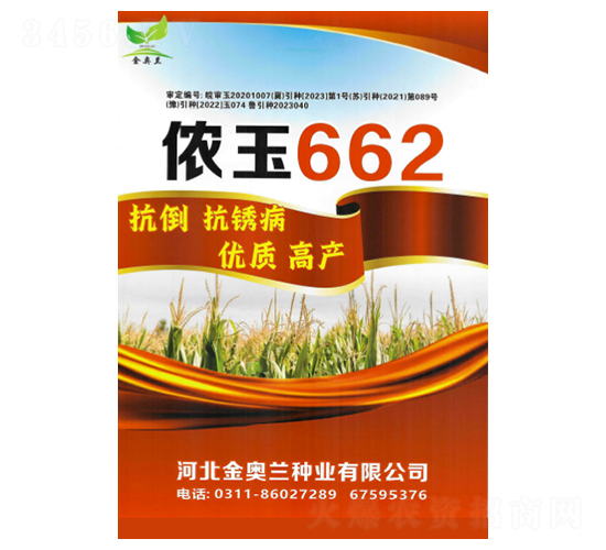 儂玉662-玉米種子-秦豐種業(yè)