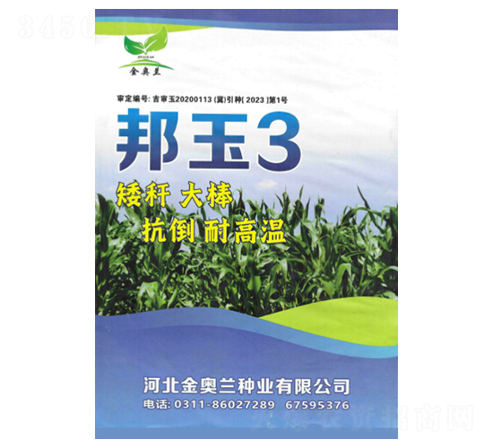 邦玉3號-玉米種子-秦豐種業(yè)