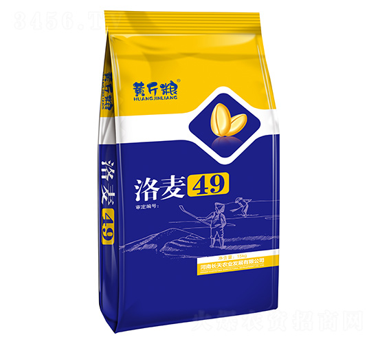 洛麥49小麥種子-黃斤糧-天農(nóng)農(nóng)業(yè)