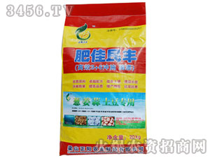 蔥姜蒜專用沖施肥-肥佳民豐-正陽(yáng)農(nóng)業(yè)