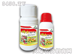 (sh)(zhun)~-ϡa(chn)-r(nng)ˎ