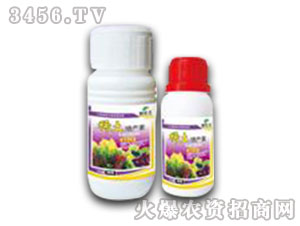 ь(zhun)~-ϡa(chn)-r(nng)ˎ