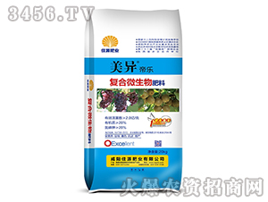 (f)΢-ۘ(l)-ԴʘI(y)