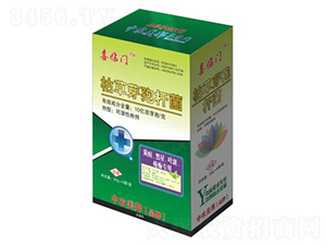 ݲѿߗU̿ǡ~ߣ-ϲRT-r(nng)