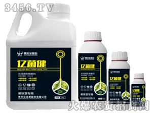 農(nóng)用微生物菌劑-億菌健（根塊莖專用）-貴天化