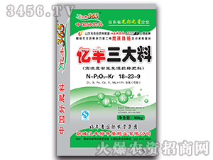 ߝ܏ͻጷ18-23-9-|S-|S 