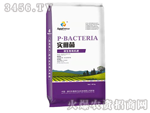 ΢ЙC(j)-(sh)þ-r(nng)I(y)