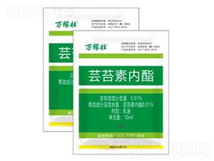 |̦؃(ni)-f(wn)ډ-r(nng)_(d) 