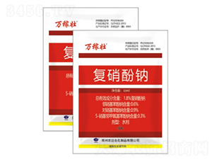 (f)c-f(wn)ډ-r(nng)_(d) 