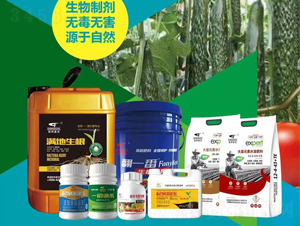 西紅柿施肥方案-聯(lián)邦嘉吉