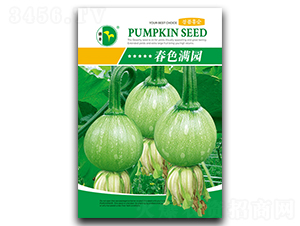 ɫM(mn)@-ϹϷN-SNI(y)