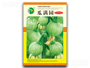 ϝM(mn)@-ϹϷN-SNI(y)