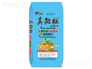 含腐殖酸水溶肥-真能粒-艾澤利-龍燈農(nóng)業(yè)