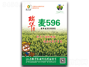 A596-СN-Ar(nng)I(y)