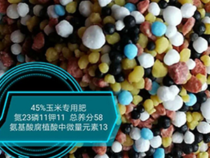 ׌ðḯֲ΢Ԫ23-11-11-r(nng)r(nng)I(y)