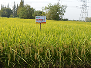 |Ƀ(yu)8̖(ho)-ˮN-S(l)NI(y)