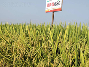 ^Ƀ(yu)686-ˮN-S(l)NI(y)