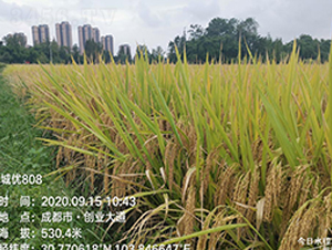 \ǃ(yu)808-ˮN-S(l)NI(y)