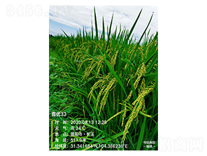 ؃(yu)33-ˮN-S(l)NI(y)