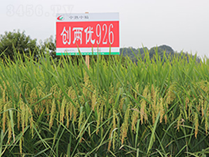 (chung)Ƀ(yu)926-ˮN-S(l)NI(y)