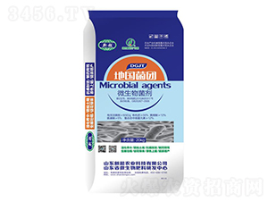 ΢-؇F(tun)-³r(nng)I(y)