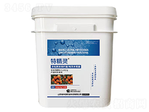 ճѿߗUľù-ؾ`-ԣSԴ