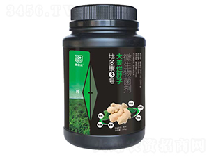 大姜爛脖子專用微生物菌劑-地多康3號(hào)-瑞倍達(dá)