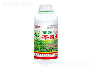 茶霸王1000ml-威力施