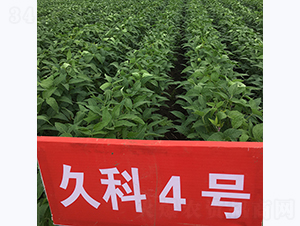 ÿ4̖(ho)-󶹷N-L(zhng)ǷNI(y)