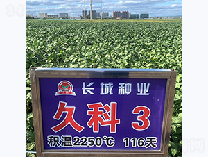 ÿ3̖(ho)-󶹷N-L(zhng)ǷNI(y)