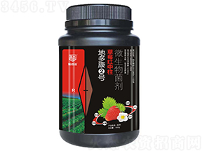 草莓紅中柱專用微生物菌劑-地多康2號-瑞倍達(dá)