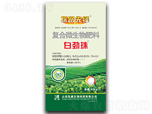 ׄͺ΢ϣ~棩-̽·h-Pʢ