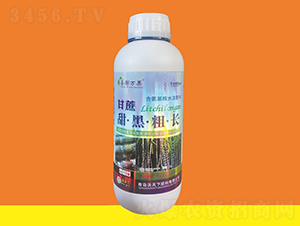 甘蔗甜黑粗長(zhǎng)-圣膨萬果-沃天下