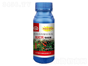 Чμtܾ֩-Ҋt硤ܾ-r