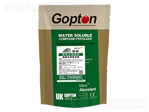 MڹDطNϺ弤̼-ɪ