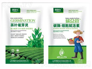 ~ѿ`+̼øx-ِʩ-sҫr(nng)I(y)