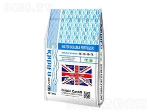 ӢUK-Cardiffî1̖ˮܷ19-19-19+TE-Ϸ 